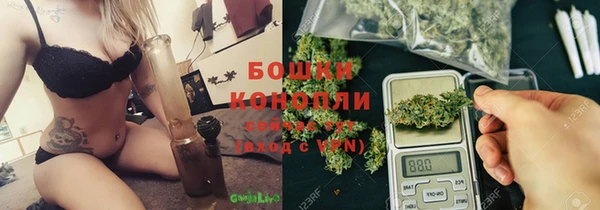 крисы Нестеровская