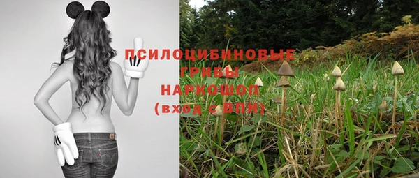 твердый Нея