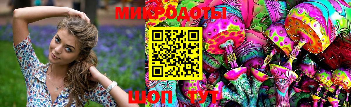 Галлюциногенные грибы Psilocybe Камышин